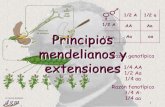 Tema3. Principios Mendelianos y extensiones.