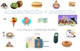 Alimentación y digestión Paula Carrera