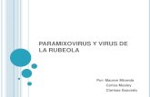 Paramixovirus y virus_de_la_rubeola
