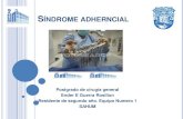 Sindrome adherencial presentacion