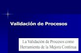 Electiva validacion procesos presentación