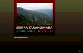 229 mex- sierra tarahumara [cr]