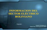 InformacióN Del Sector EléCtrico