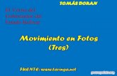 El Yerno del Gobernador del Estado Bolívar - Fotos en movimiento