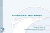 Biodiversidad en el pirineo alejandro sánchez