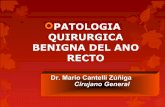 Patología Recto Anal benigna - hemorroides  - absceso - fistula - fisura 2014