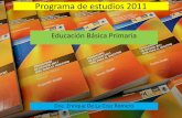 1 estructura de planes y programa 2011 edu bas
