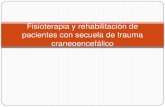 Fisioterapia y rehabilitación de pacientes con secuelas de TCE