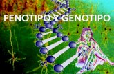 Genotipo y fenotipo (leyes de mendel)