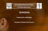 Exploración audiológica - Pineda Leyva Oscar