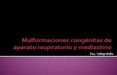 Radiología de las malformaciones congénitas de  aparato respiratorio y mediastino
