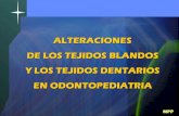 Manejo tejidos blandos 3  Dr. Miguel Perea-UPCH