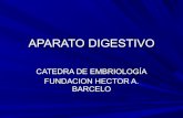Aparato Digestivo - embriología