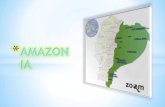 Region amazonica