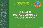 Unidad IX metabolismo de nucleótidos