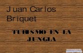 Juan Carlos Briquet - Turismo en la jungla