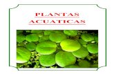 Album de plantas