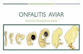 Onfalitis / Infección en saco vitelino