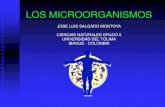 Microbiologia didactica grado-5