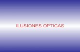 Ilusiones           Opticas   Pv