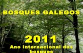 Bosques naturais galegos