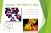 Atomo, Molecula y la vida (referencia, biologia: la vida en la tierra)