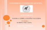 X Departamento - Paraguay. By: mayra candela patiño vallejos