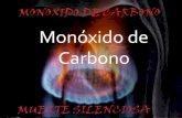 Monóxido de carbono