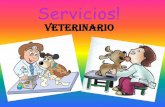 Javiera's , romi , tania veterinario