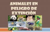 Animales en peligro de extinción nº16 5 I