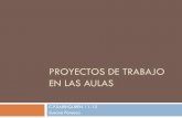Proyectos 11-12