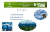 Biomas trabajo colaborativo