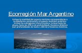 Ecorregión mar argentino