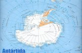 N.v . .antarctica