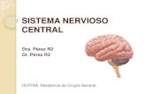 Anatomia Sistema nervioso central