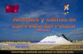 Arenales Y Salinas De San Pedro Del Pinatar