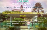 Los Rios                                                            Visita Mi Blog!!!