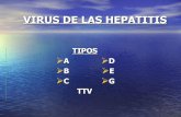 29 Hepatitis A,B,D