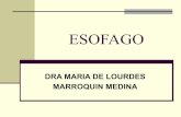 radiologia de Esofago UPAO 2010-I