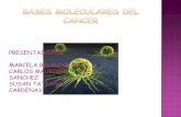 Molecular Del Cancer