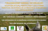 “Trazabilidad Animal en Uruguay, Situación Actual, Perspectivas y Soluciones Prácticas. Relevancia en la inocuidad alimentaria y en la bioseguridad”