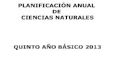 Planificacion anual ciencias naturales quinto año 2013