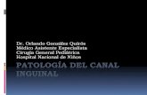 Patologia canal inguinal 2011