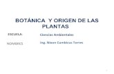Botánica  y origen de las plantas