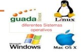 Diferentes sistemas operativos