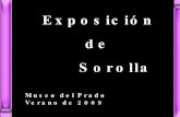 Exposicion De Sorolla
