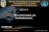 Microcirugía endodóntica