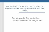 Servicios de Consultorías: Oprotunidades de Negocios