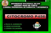 Diapositivas completo citocromo p450