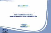 Evaluacion 14 nstrumentos del subsistema_de_evaluacion. de colegios y universidades